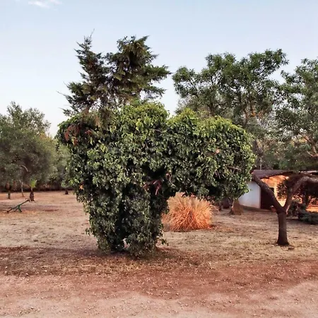 Сasa de vacaciones Trullo Votano Rosso
